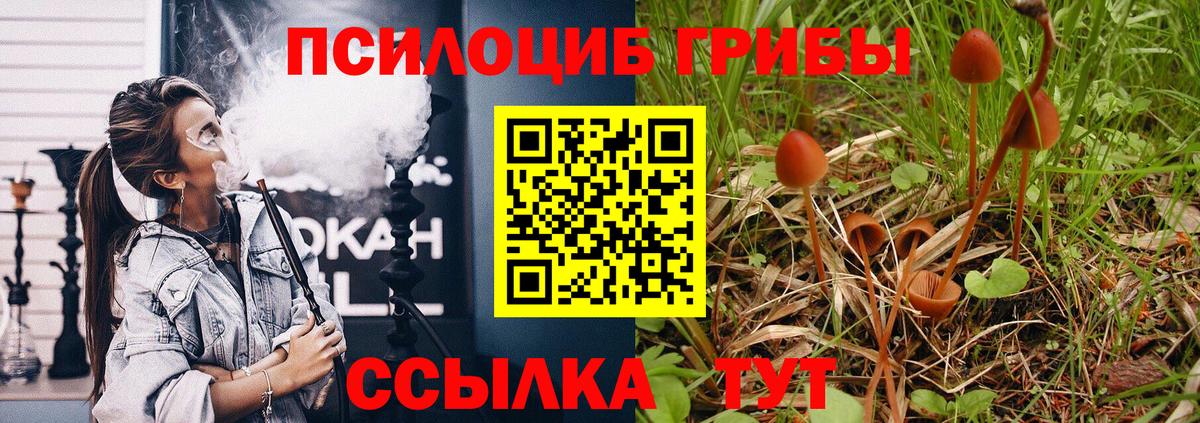 Коркино  Псилоцибиновые грибы мицелий  Вход с VPN  Псилоцибиновые грибы мухоморы 