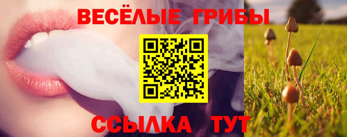 Галлюциногенные грибы ЛСД Коркино